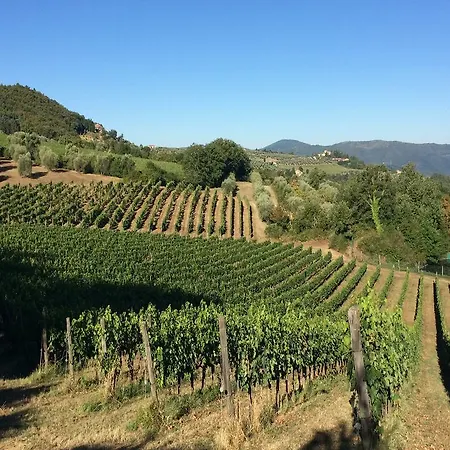 Il Trebbio Alloggio per agriturismo Pelago